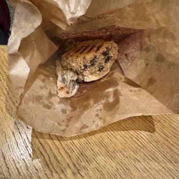 Kurabiyeden Çıkan Plastik Şoku