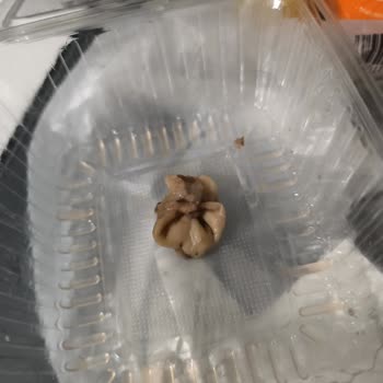 Köfteci Yusuf'tan Gelen Siparişte Hayvan Parçası Şoku