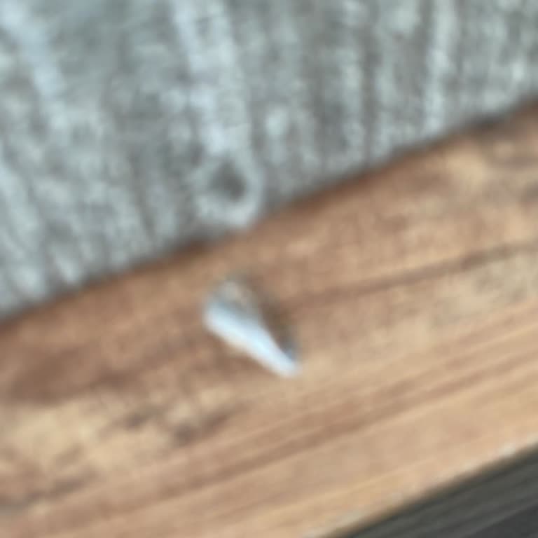 Kelebek Mobilya'dan Aldığımız Koltuk Takımında Teslimat Ve Tamirat Sorunları