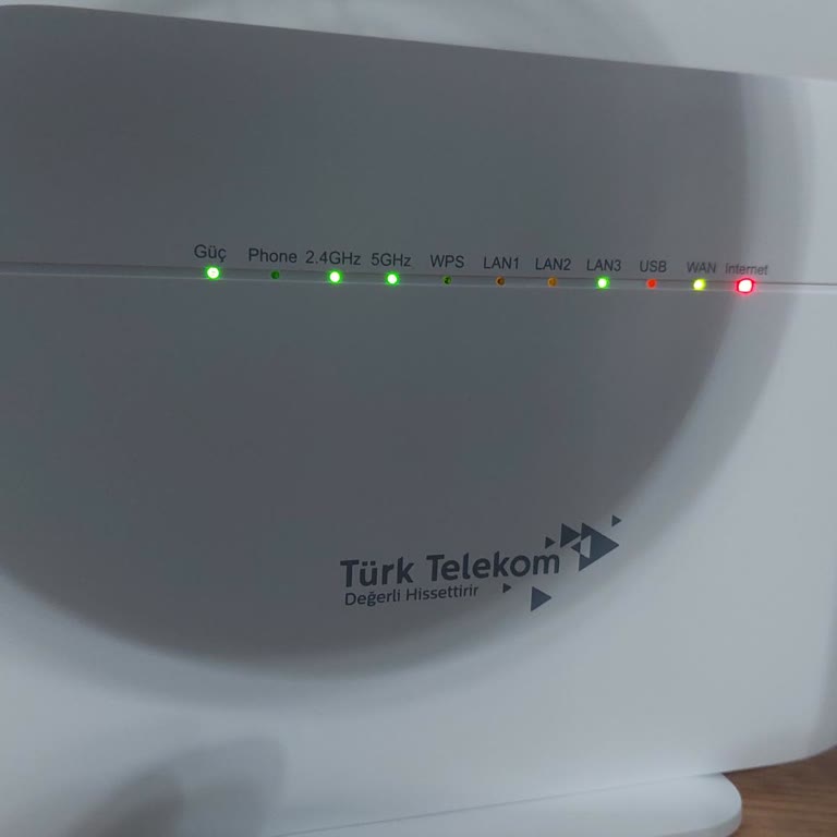 Şok-net İle Hayal Kırıklığı: Yavaş Ve Kesintili İnternet