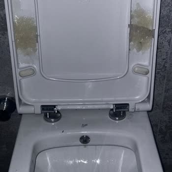 Ürün Bulunamıyor: Yardım Bekliyorum