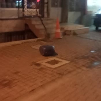 İstanbul Büyükşehir Belediyesi Esenyurt'ta Park Yeri Sorunu