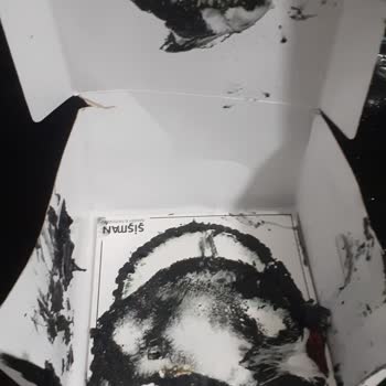 Şişman Fırın & Cafe Şikayeti