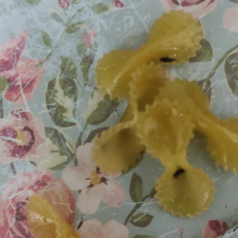 Mutlu Makarna'nın Böcek Sorunu Ve Tüketici Güveni