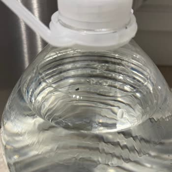 Assu'da Hijyen Sorunu