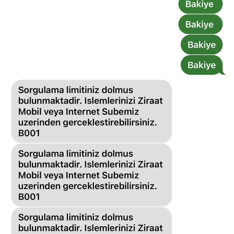 Bakiye Sorgulama Limiti Artışı Talebi