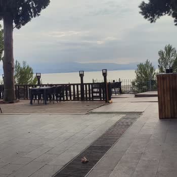 Darıca Deniz Köşkü Restaurant Şikayeti