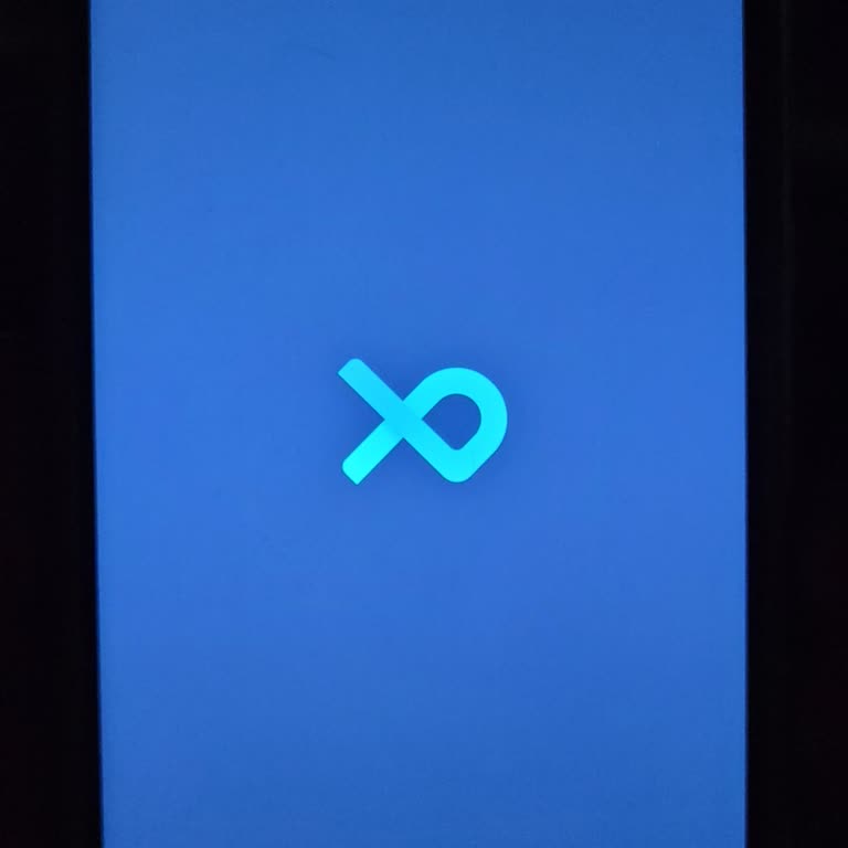 Bitexen Uygulamasına Giriş Sorunu: Sürekli Atma Ve Takılma