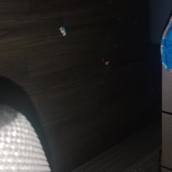 Sürekli Sıkıntılı Yolculuk Ve Saygısız Hizmet