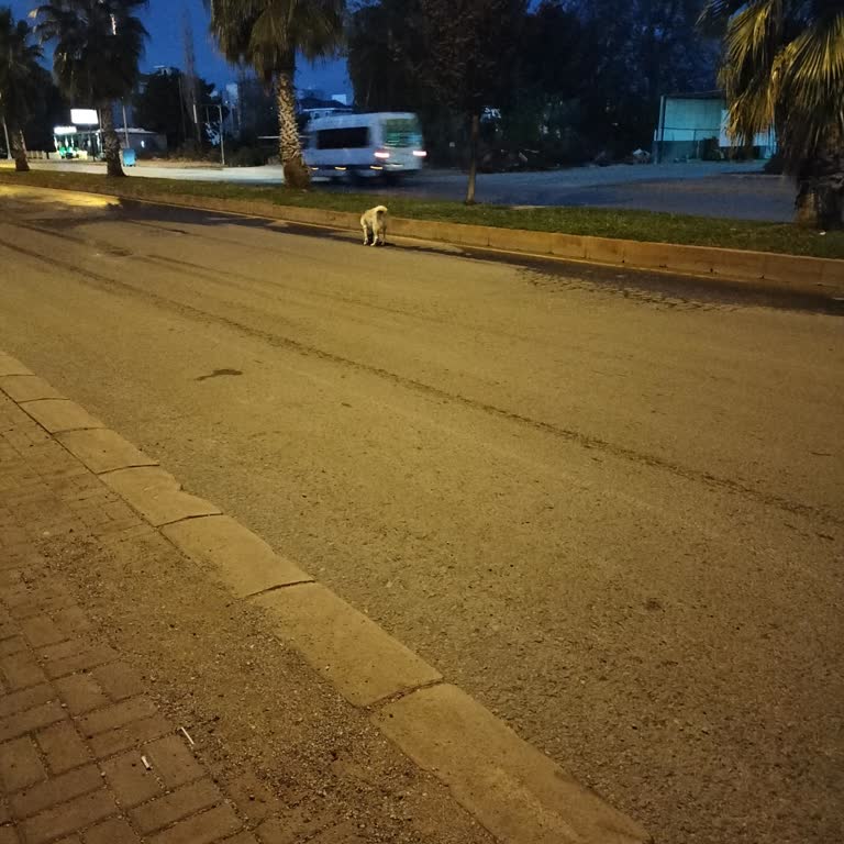 Döşemealtı'nda Belediye Hizmetlerinin Eksikliği