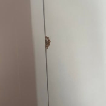 Ezilmiş Dolap Ve Yetersiz Müşteri Hizmeti