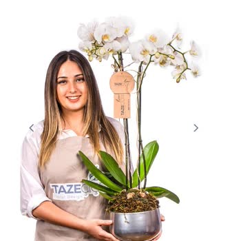 Taze Çiçek | Tazecicek.com Yanıltıcı Çiçek Siparişi Deneyimi