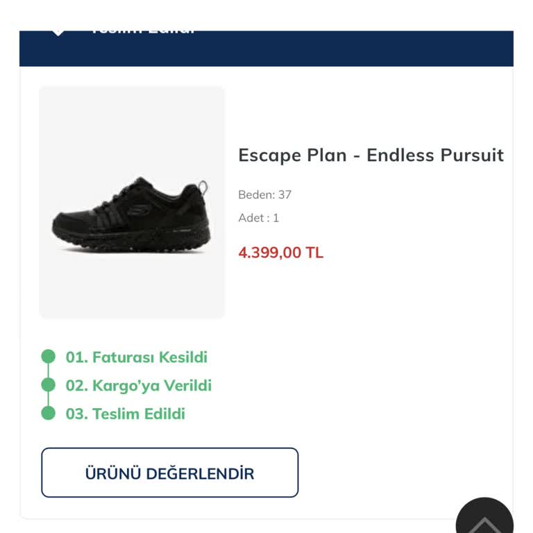 Yağmurlu Havalarda Skechers Ayakkabı İle Yaşanan Hayal Kırıklığı
