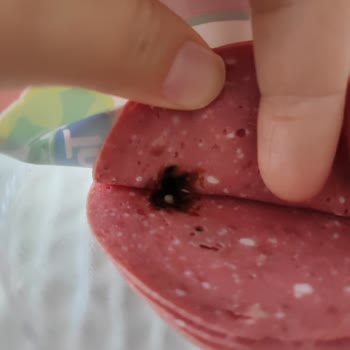 Torku Salamda Siyah Lekelerle Karşılaştık, Sağlığımız Tehlikede Mi?