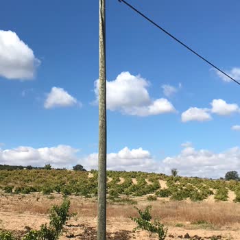 Tarım Arazisindeki Telekom Direği Sorunu