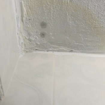 Aksigorta Mağduriyeti: Çözüm Bekleyen Sorunlar