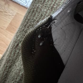 Yanıltıcı Ürün Ve İletişim Sorunları