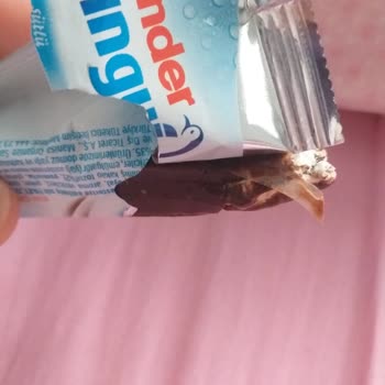 Kinder Pingui'den Çıkan Plastik Şok Etti