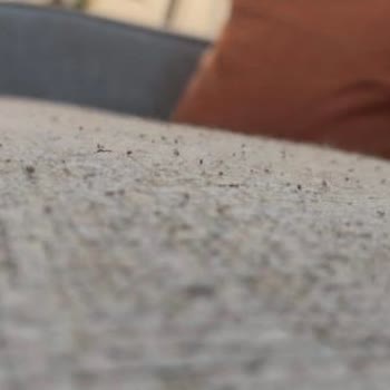 Doğtaş Mobilya Koltuk Takımı Ve Müşteri Hizmetleri Hayal Kırıklığı