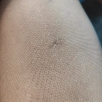 Penti'nin Dayanıksız Ürünleri: Tek Kullanımlık Çorap Sorunu