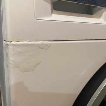 Bosch Çamaşır Makinesi Kalite Sorunu
