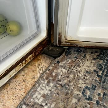 Samsung Buzdolabında İçten Çürüme Sorunu