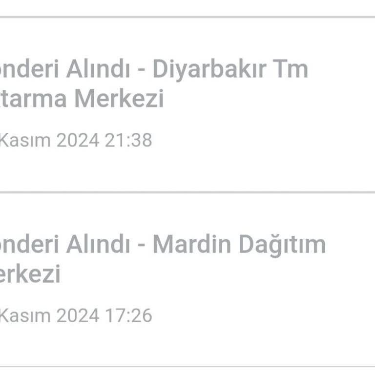 Kayıp Kargo: Acil Çözüm Bekliyorum!