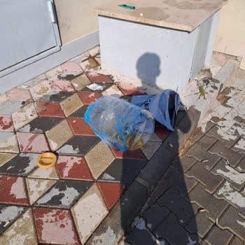 Kargo Sızıntısı: 20 Litre Zeytinyağı Kayboldu!