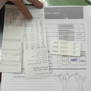 Veteriner Yanlış Teşhis Ve Yetersiz İlgisiyle Mağduriyet