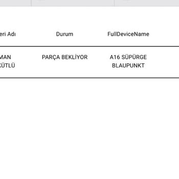 Blaupunkt Süpürge: Turbo Başlık Sorunu Ve Servis Mağduriyeti