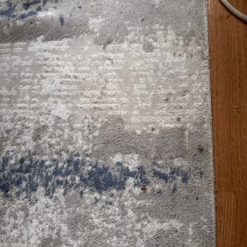 Philips Ev Aletleri Robot Süpürgede Hayal Kırıklığı