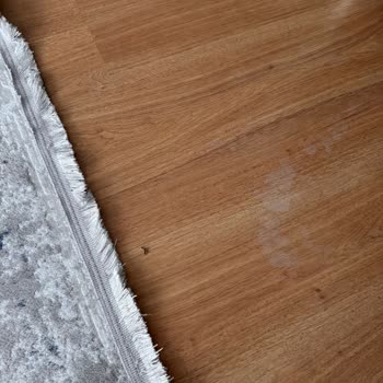 Philips Ev Aletleri Robot Süpürgede Hayal Kırıklığı