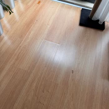 Philips Ev Aletleri Robot Süpürgede Hayal Kırıklığı