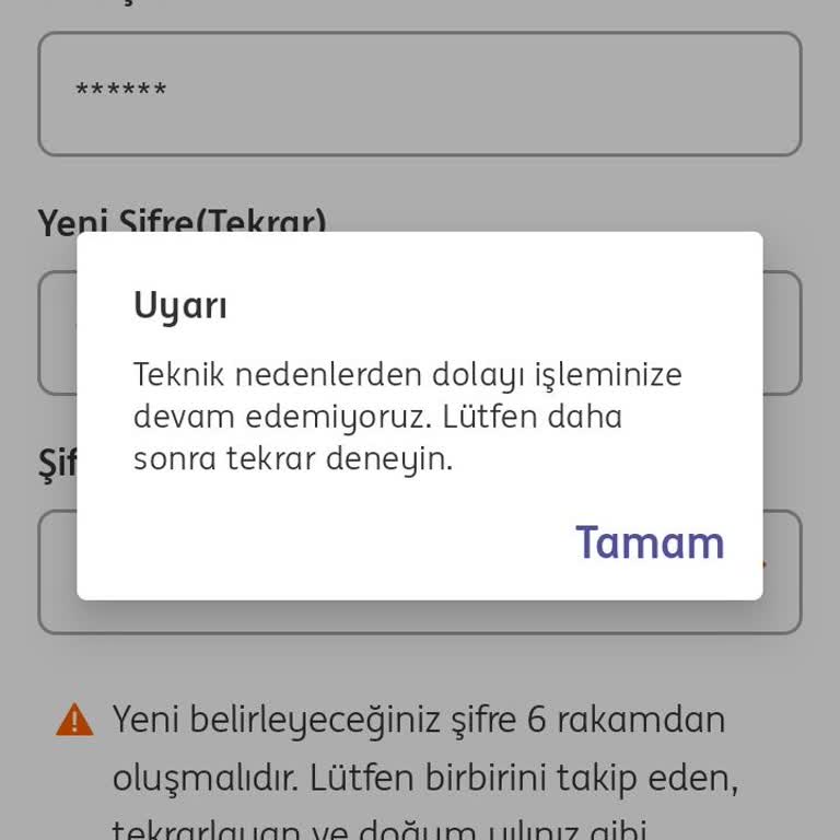 ING Bank Mobil Bankacılık Erişim Sorunu