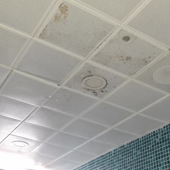 Hijyen Faciası: Tuvaletler İçin Bahane Kabul Edilemez