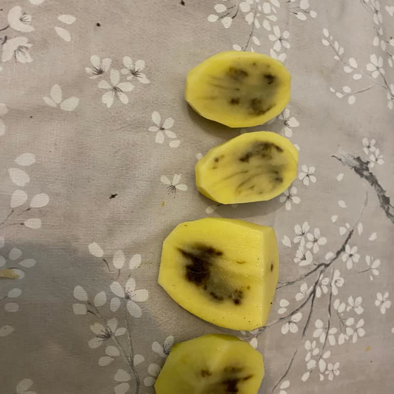 Migros'tan Aldığım Çürük Patatesler