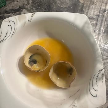 Yemeksepeti Market Bozuk Organik Yumurtalar: Denetim Ve İş Birliği Sorunu