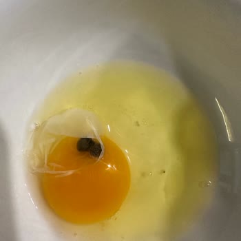 Yemeksepeti Market Bozuk Organik Yumurtalar: Denetim Ve İş Birliği Sorunu