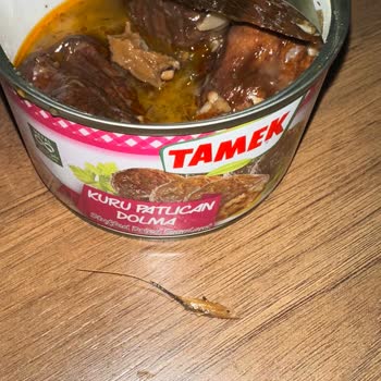 Tamek Konserve Ürünlerinde Beklenmedik Sürpriz