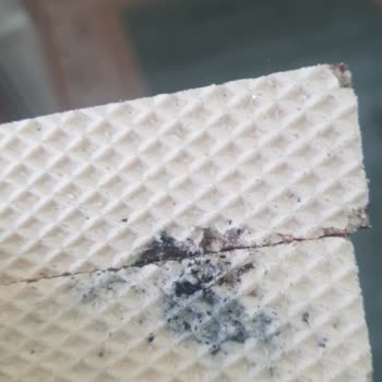 Centro Gofretin İçinden Çıkan Küf Şoku