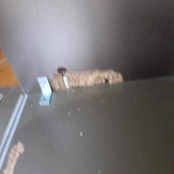 Akoğlu Nakliyat İzmit Hizmet Memnuniyetsizliği