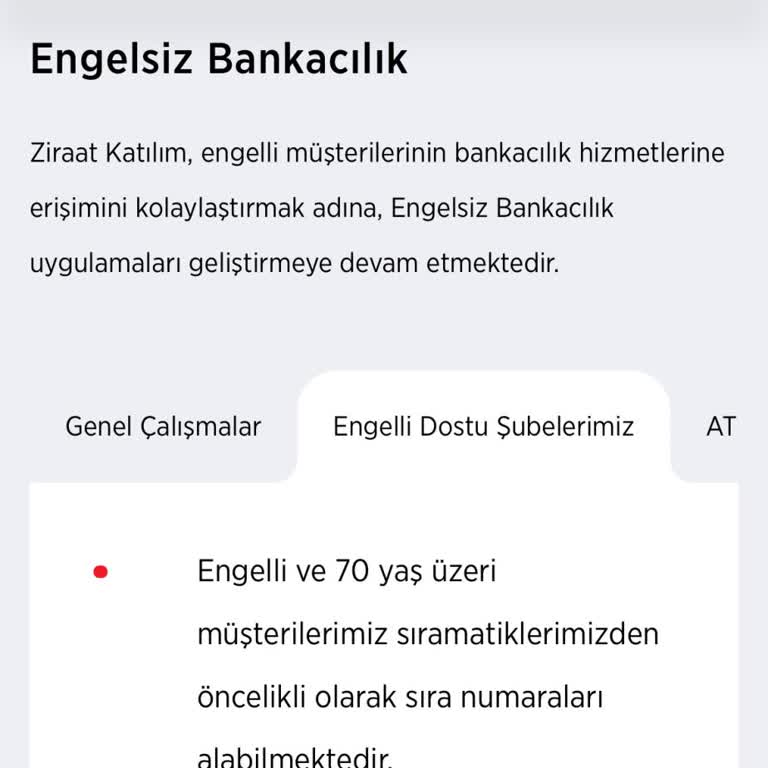 Engelli Önceliği Tanınmayan Şube Deneyimi