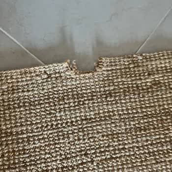 Kuru Temizlemeden Kopuk Ve Nemli Halı Şoku!