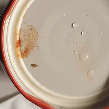 Migros'tan Aldığım Salçadan Kurt Çıktı!