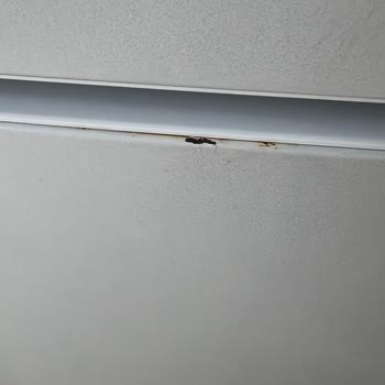 La tapa del congelador de mi Bosch se oxidó y no la reemplazan