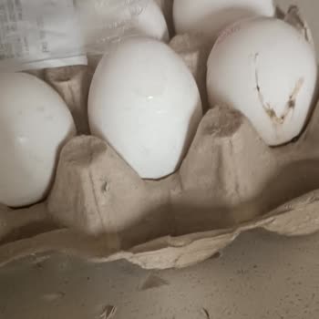 Şok Market'ten Aldığım Yumurtalar Küflü Ve Çürük Çıktı