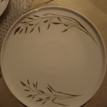 Kırık Tabaklar Ve Yetersiz Müşteri Hizmeti
