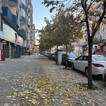 Sipariş Verilmedi, İade Talebi Reddedildi