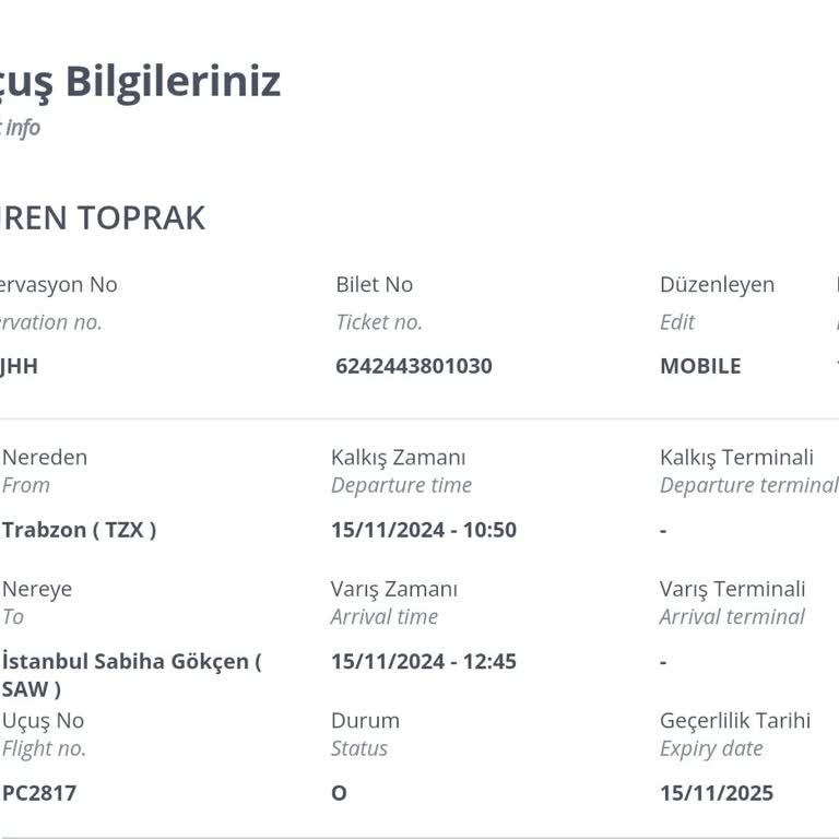 Pegasus İle Annemin Zorlu Yolculuğu