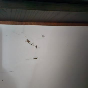 Neon Mobilya | Kahramanmaraş Kusurlu Ürün Gönderimi Ve İlgisizlik!